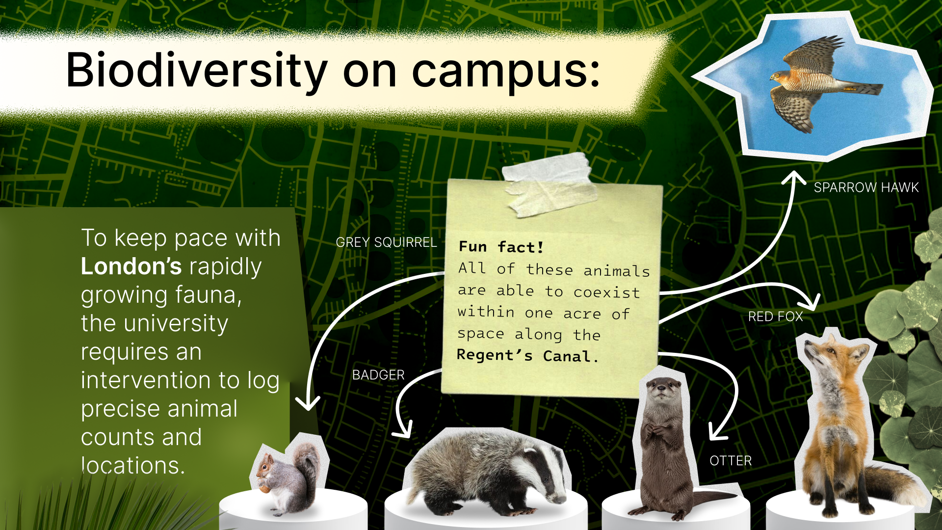 HabitApp slide 4